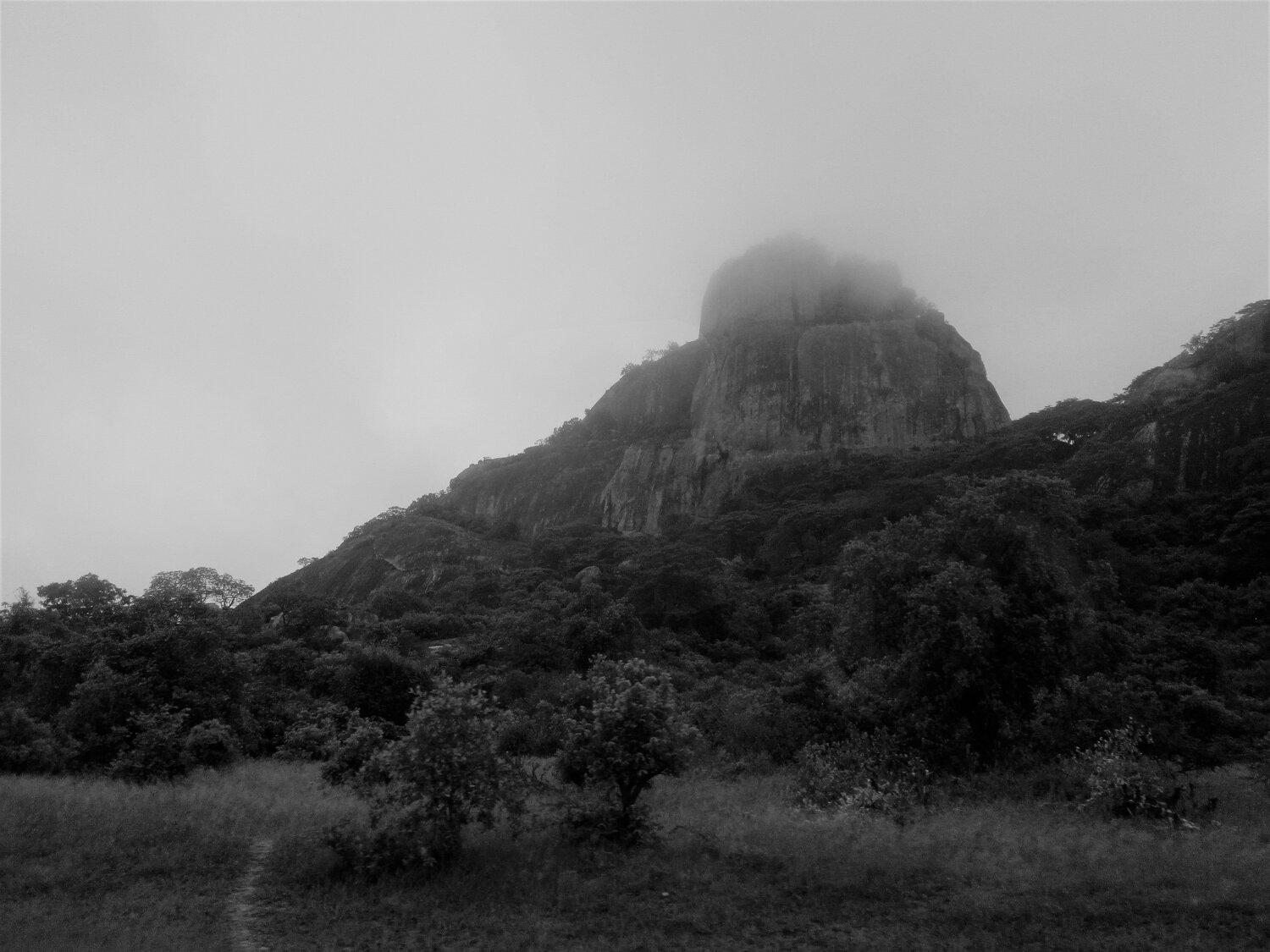 Photo #3217920