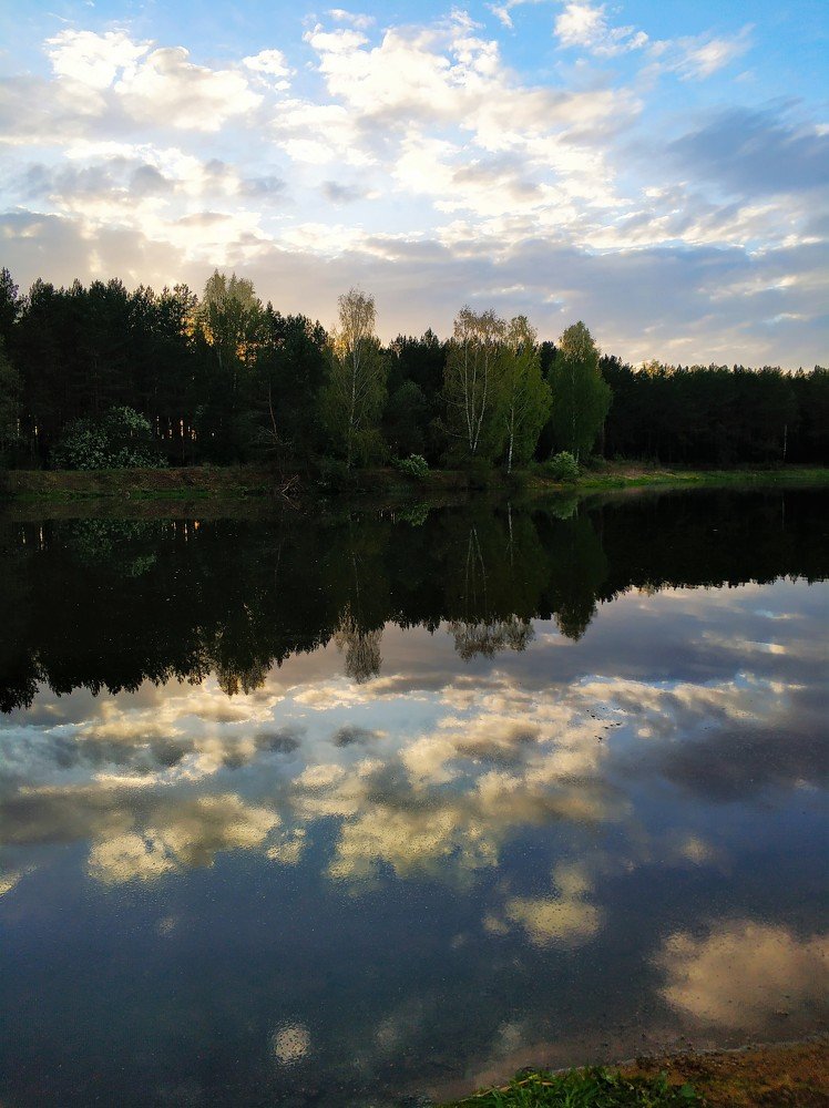 На берегу озера