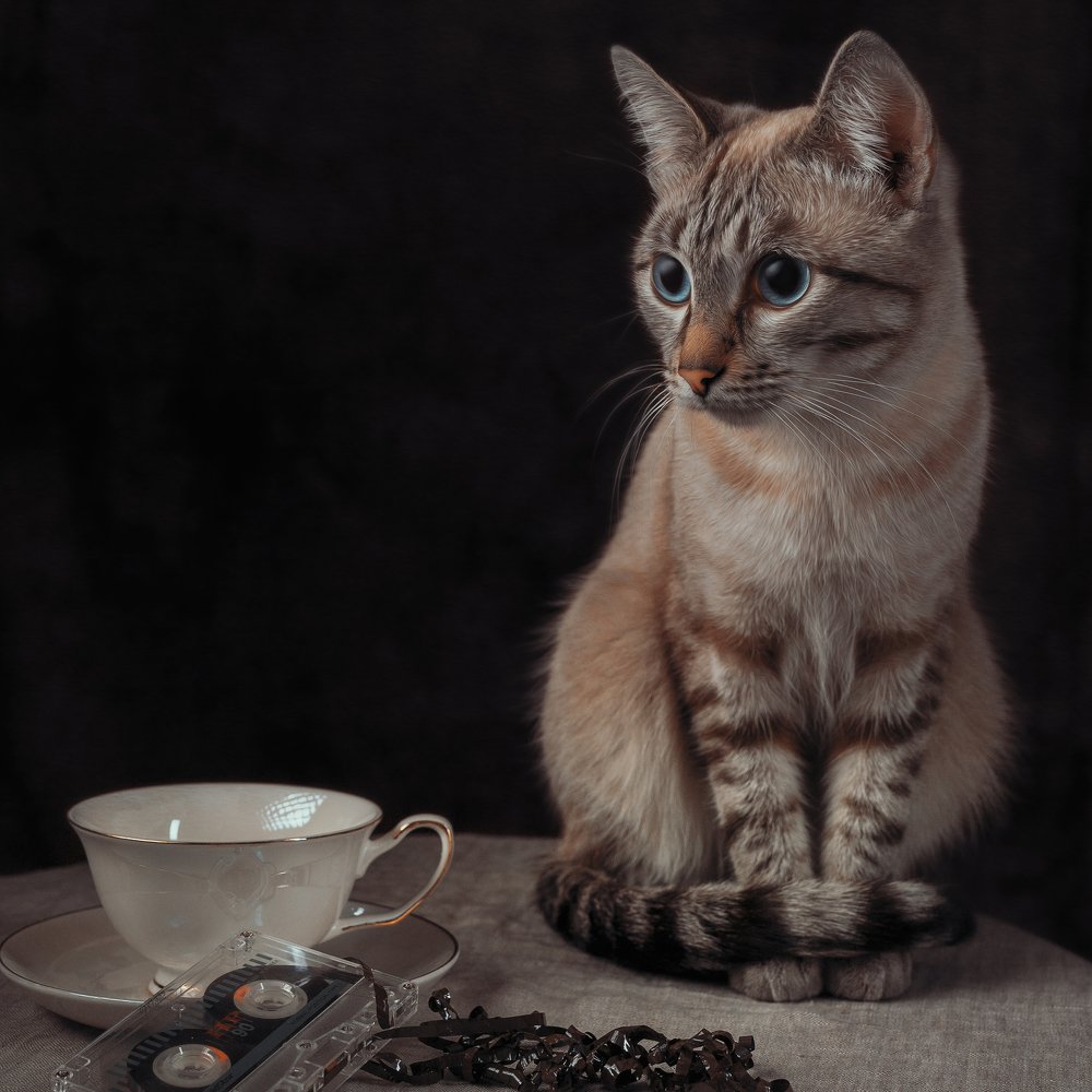 Любопытство