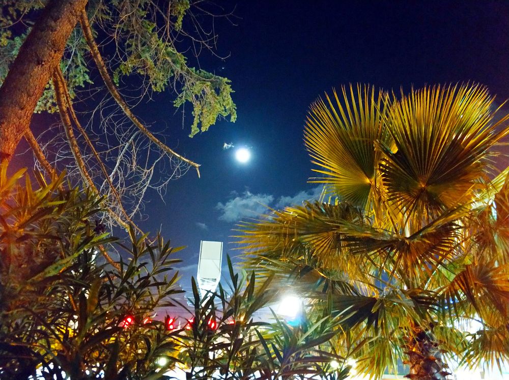 Луна в городе