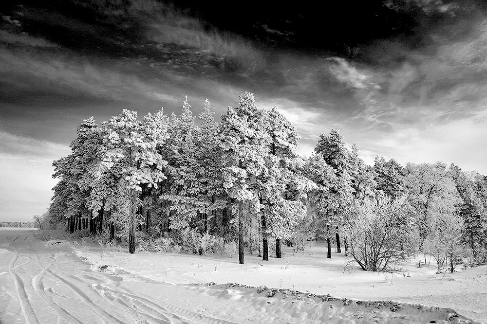 Суровый февраль