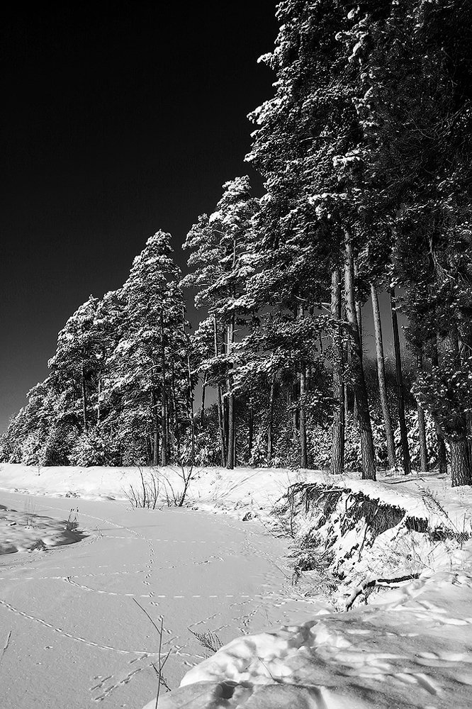 На берегу реки зимой вдали от деревень