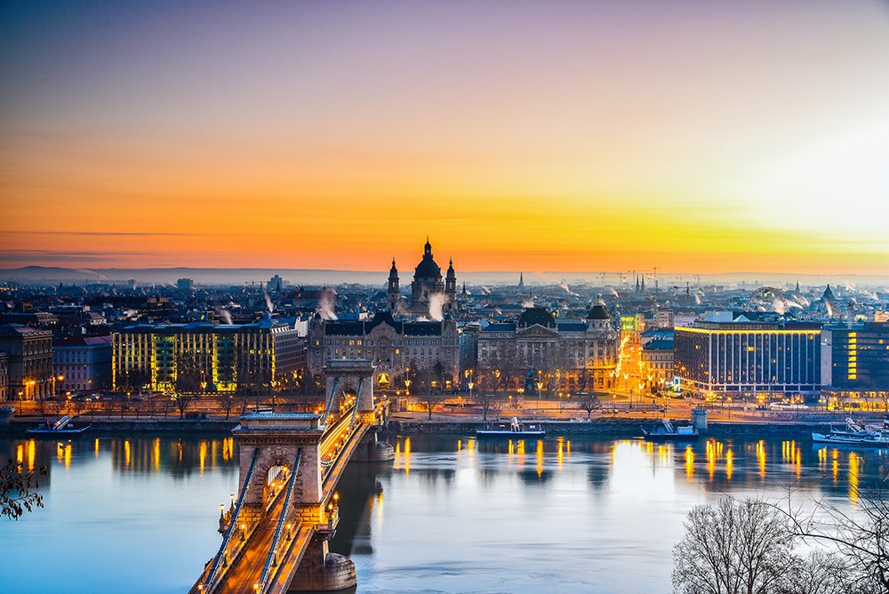 Budapest morninglory