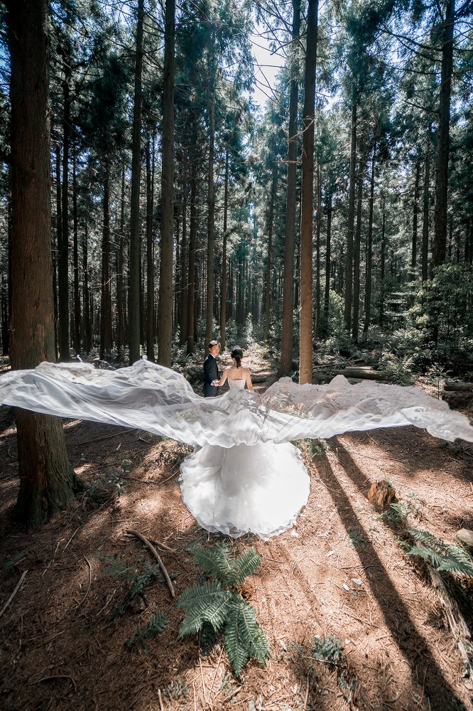 Into the forest with the Angel Bride