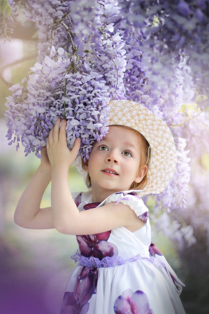 Нежность в Глицинии