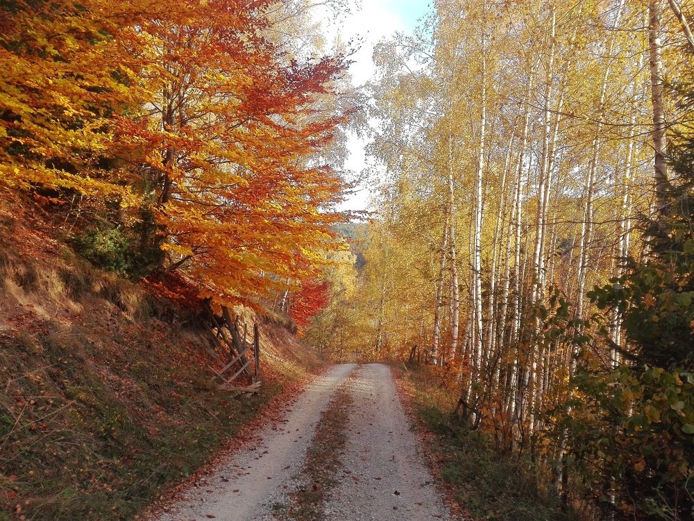 Photograph by Maida Bralić