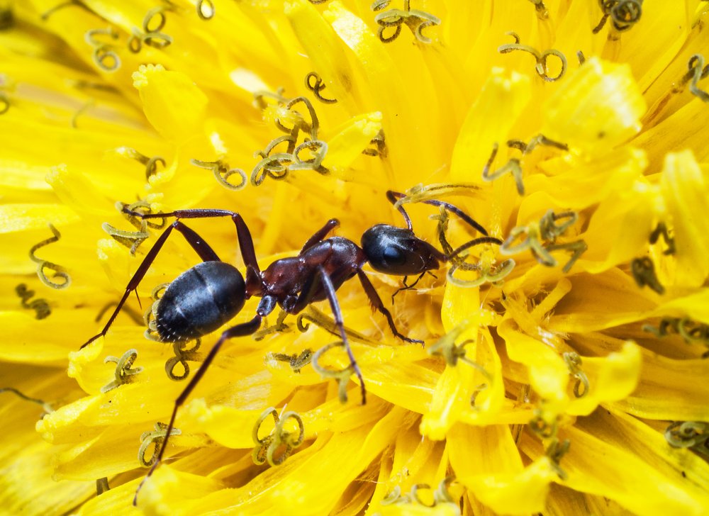 Photograph by Данил Мандрыгин