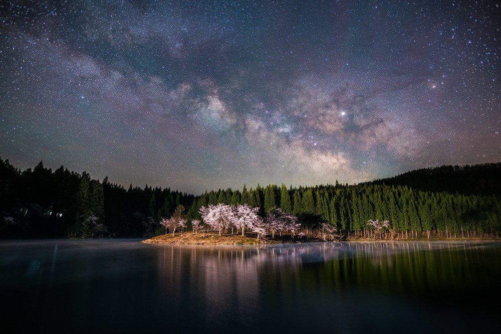 Cherry blossoms and the Milky Way