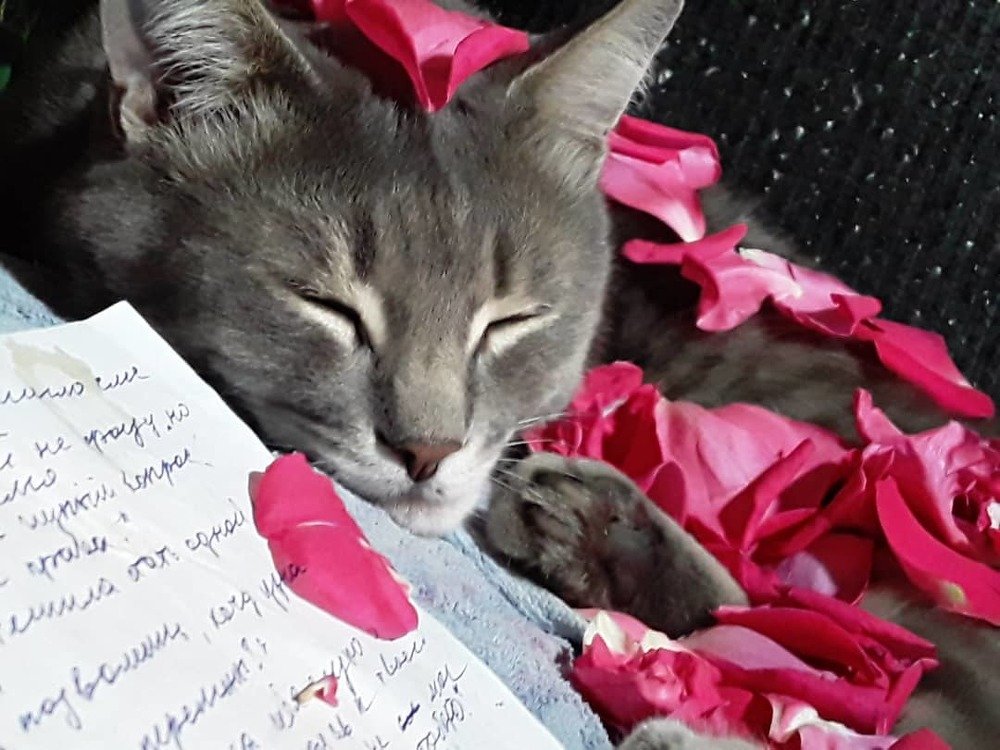 Photograph by Аня