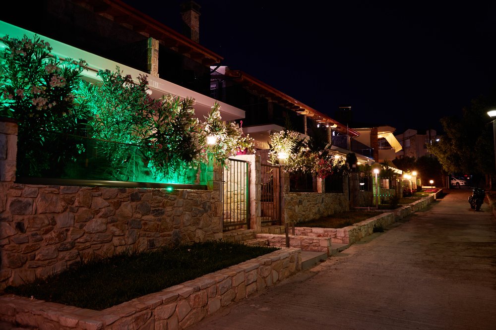 Photograph by Ольга Чёкотова