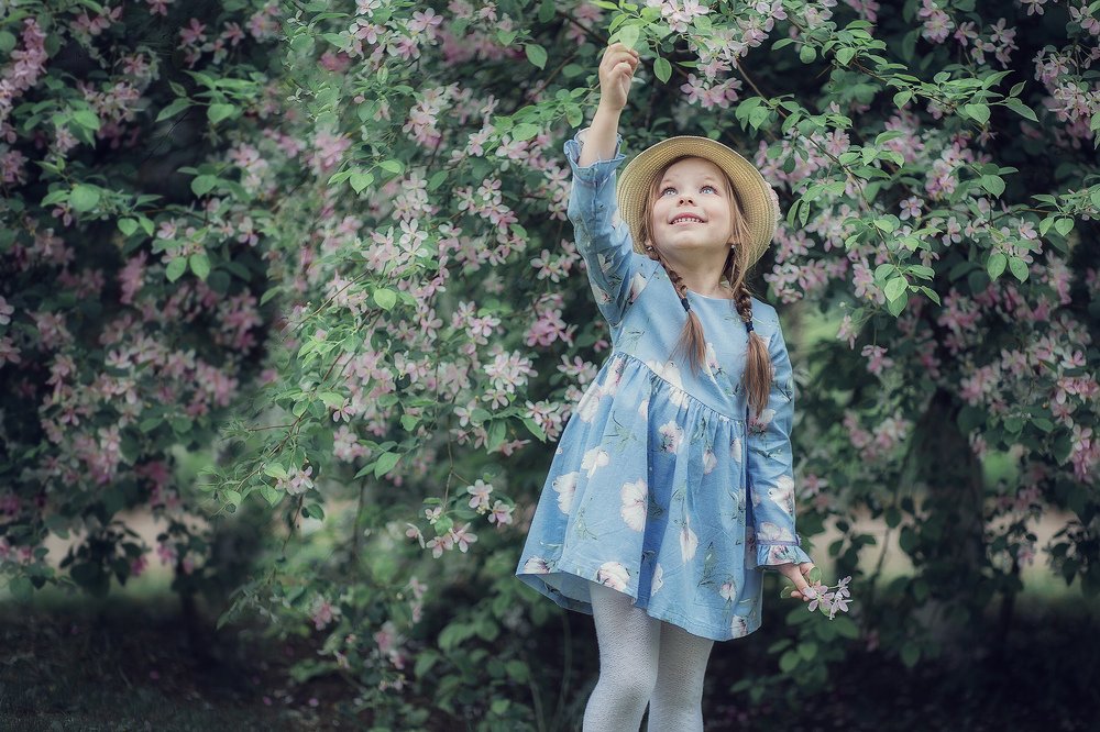 Яблоневый сад