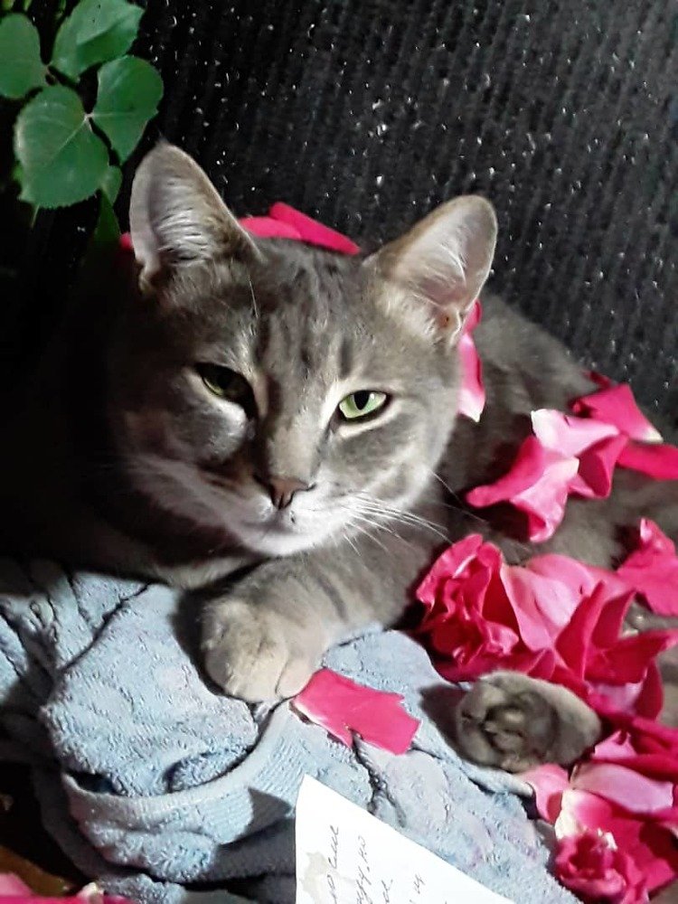 Photograph by Аня