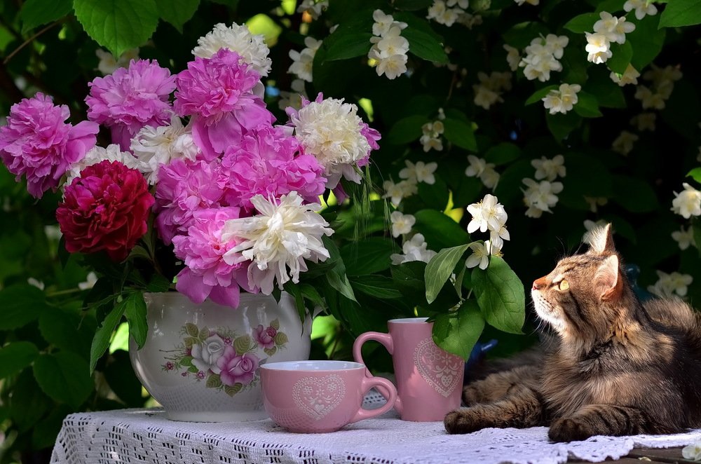 Ценитель прекрасного...