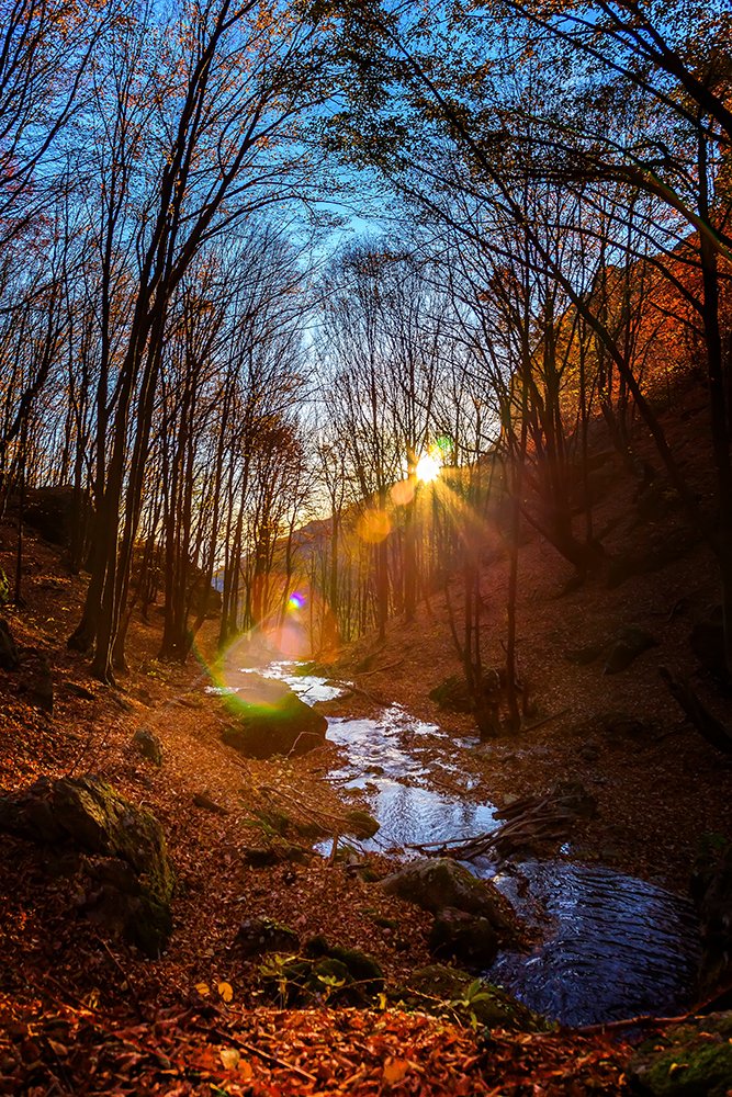 В края на деня