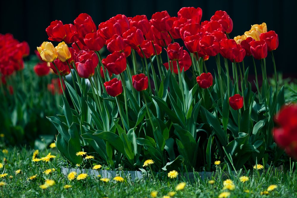 палитра мая 20119...