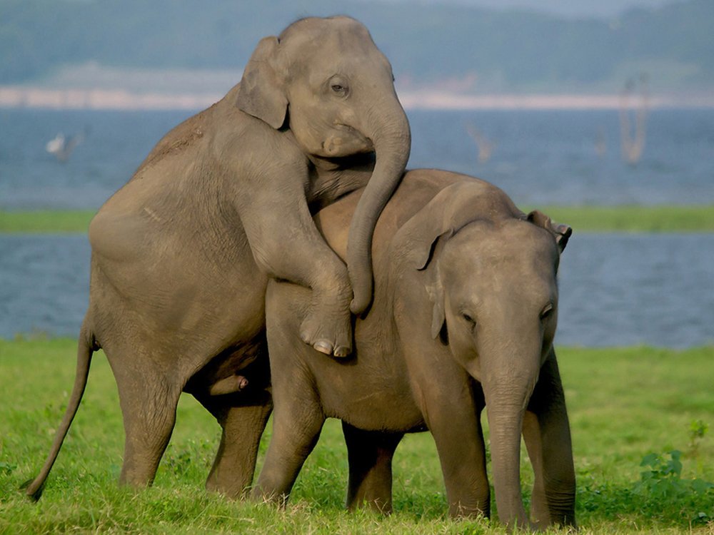 STEPPING INTO ANOTHER GENERATION