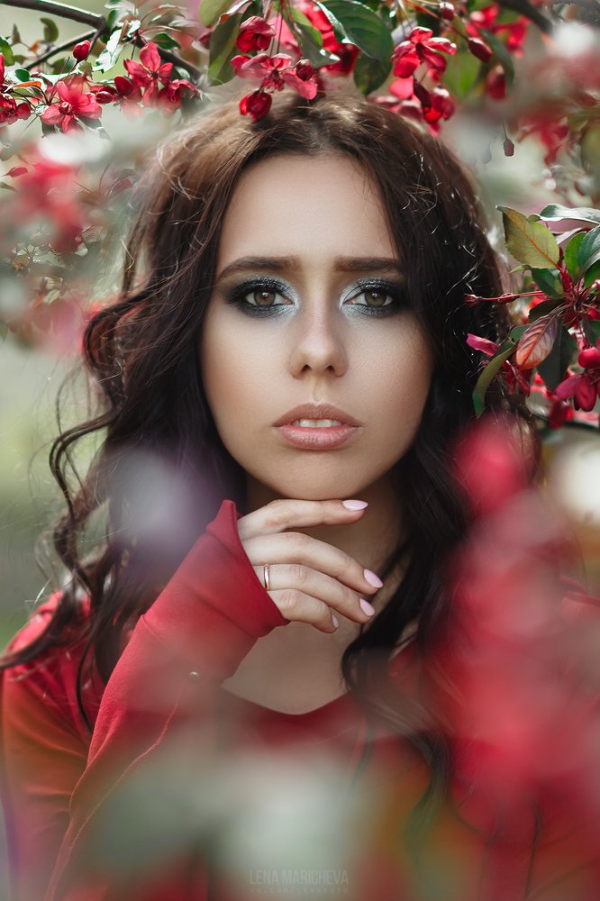 Красная яблоня