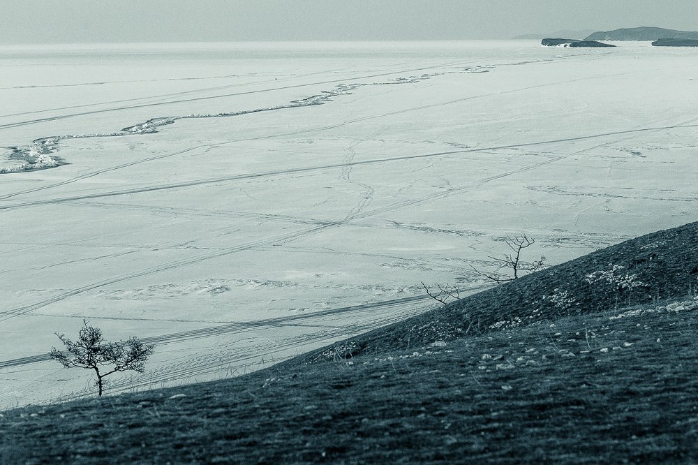 Фотография автора Оркина Ксения