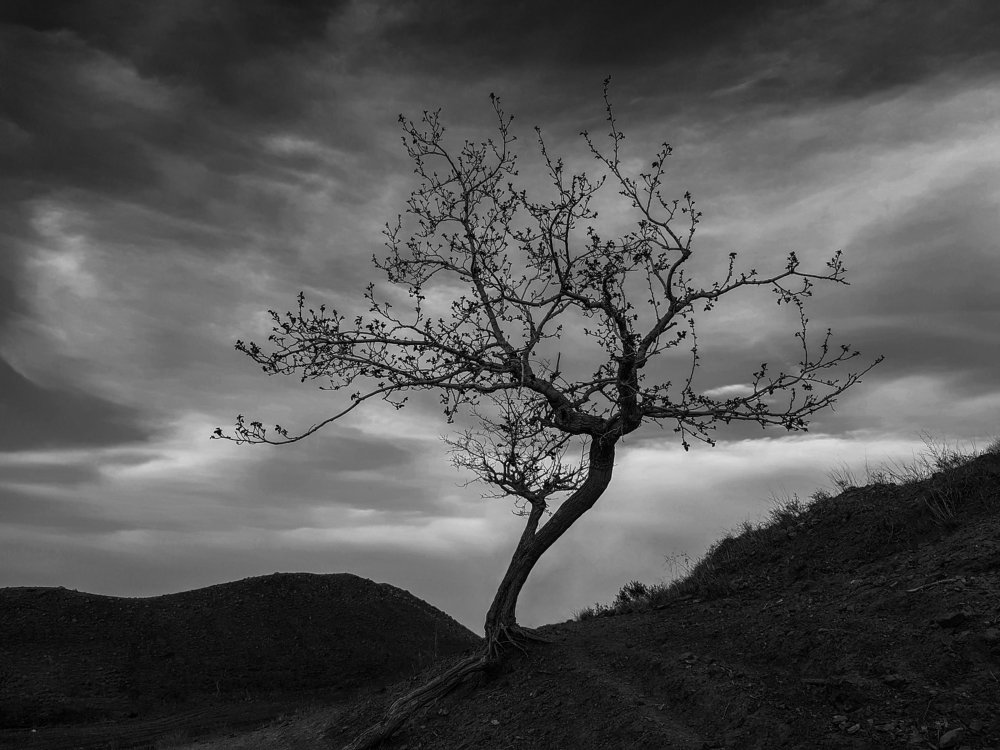 Living in the middle of the desert