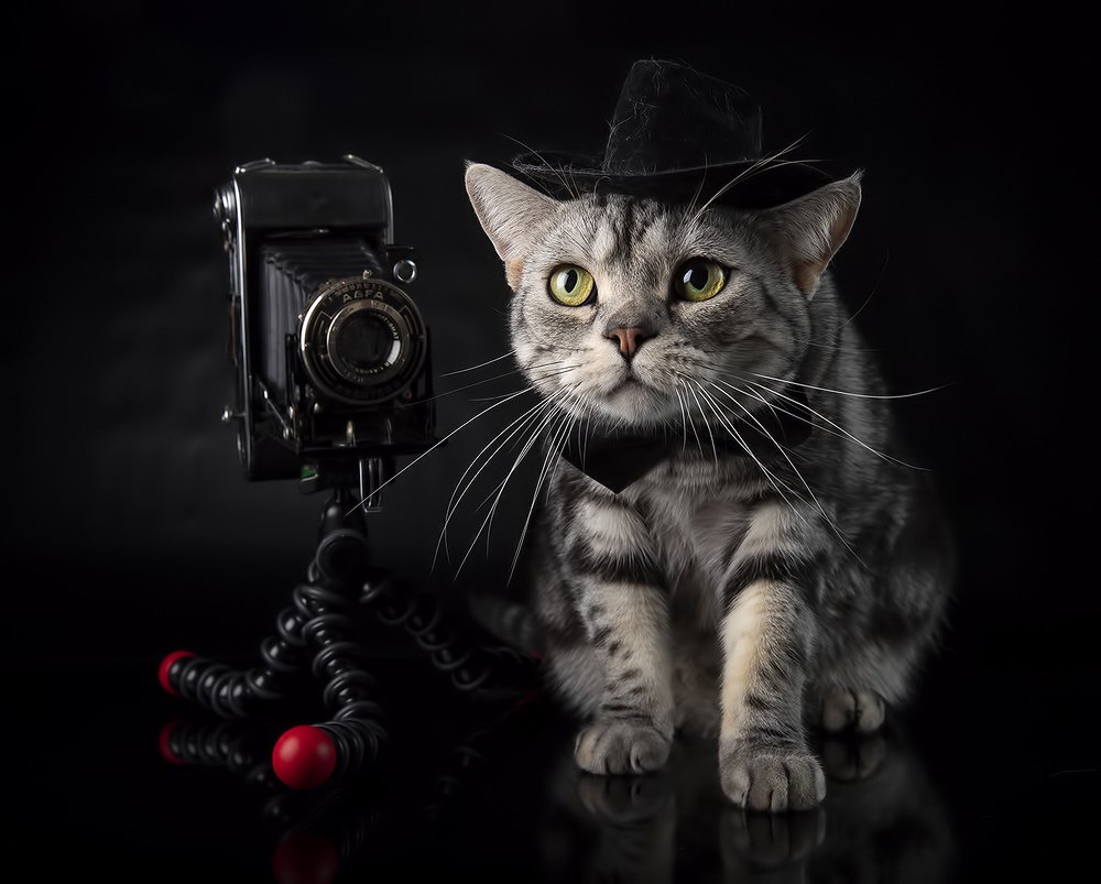 Маркиз - Фотограф