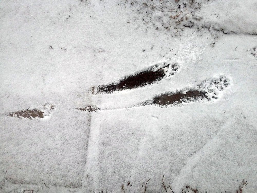 Photograph by Павел Баганов