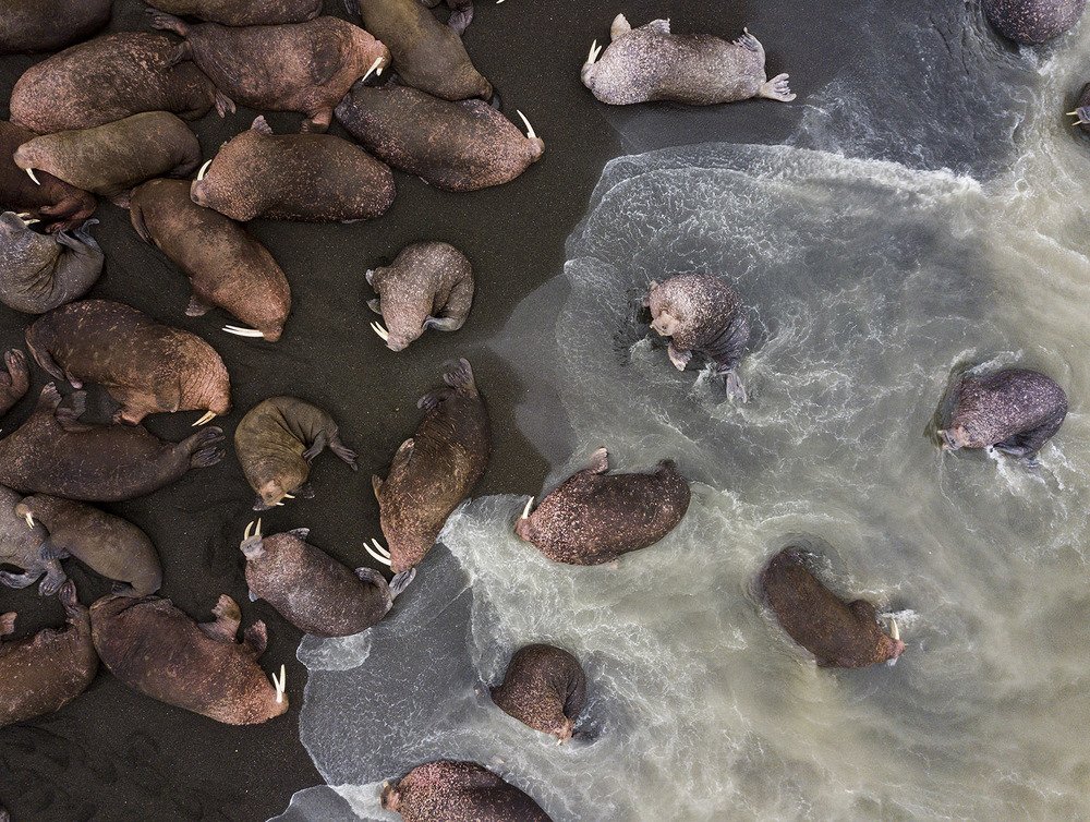 Между морем и землей