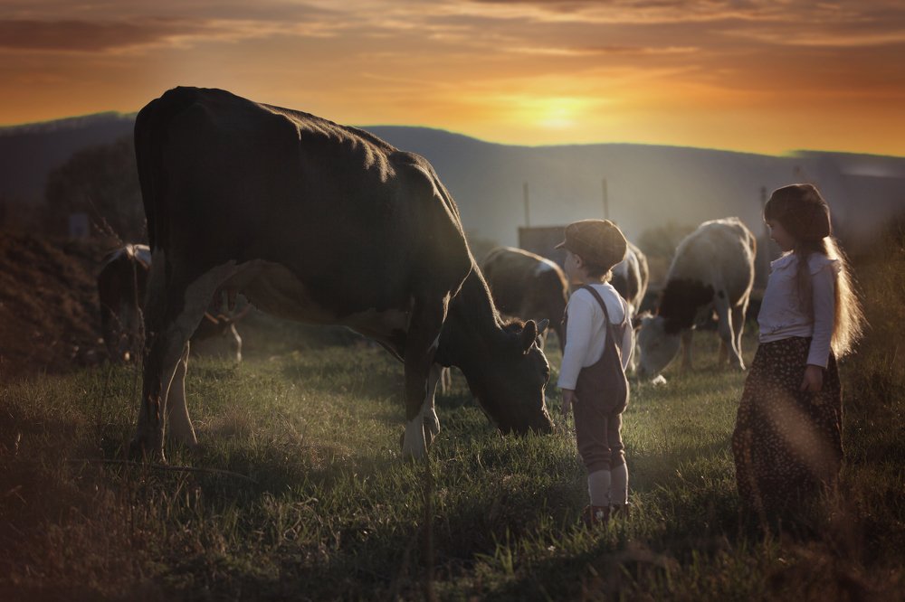 Деревенские дети