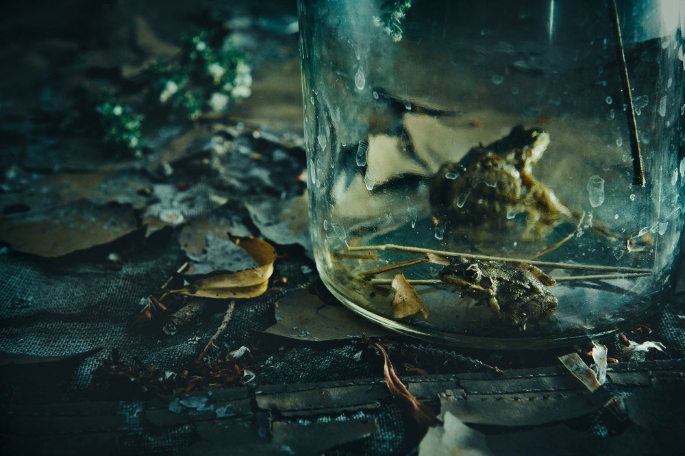 Про царевну-лягушку