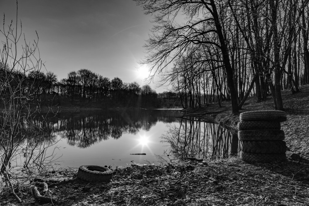 Рассвет на пруду