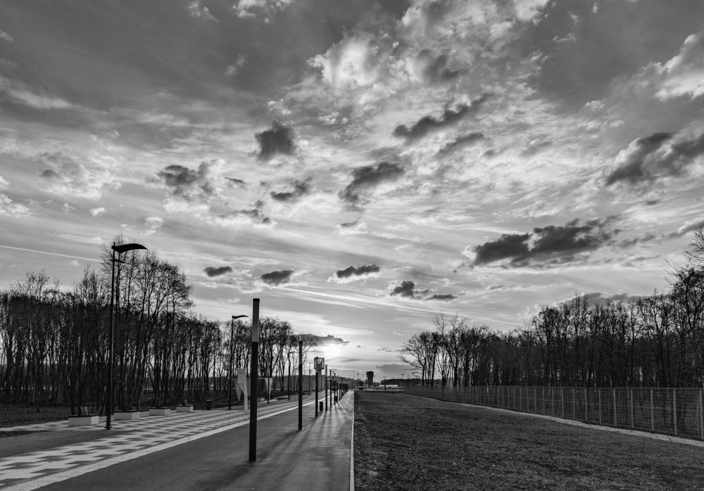 Рассвет в парке