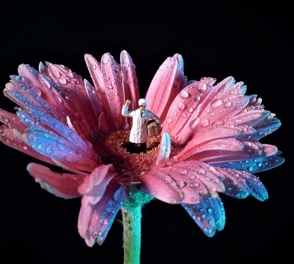 То что доктор проописал!