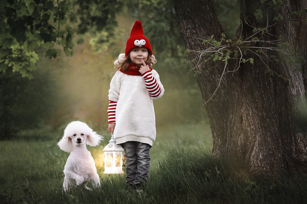 Гномик и Пудель