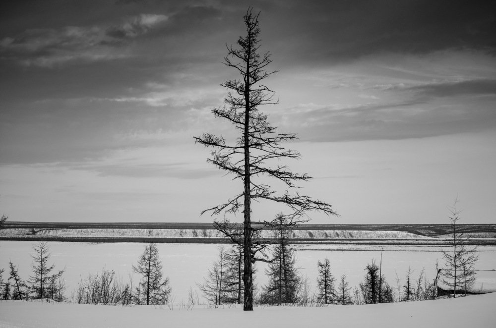 Заполярье. Лена.