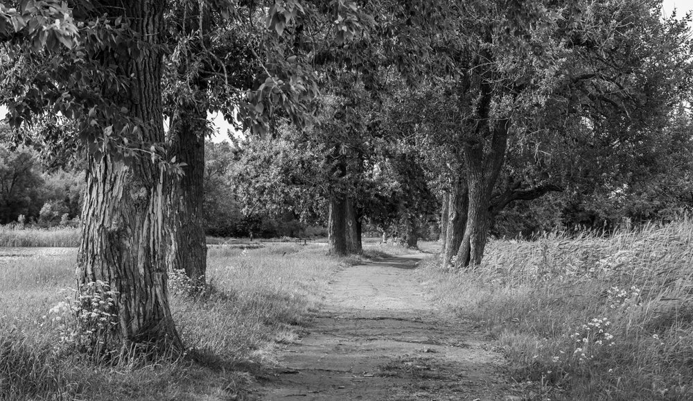 Old path