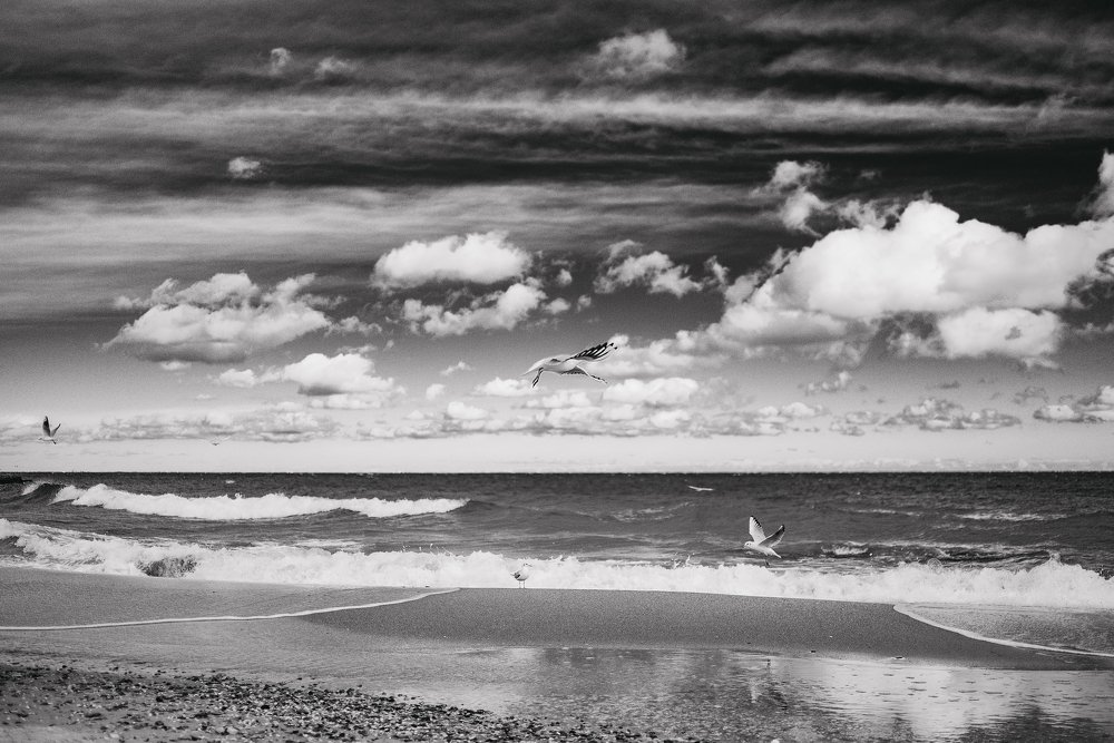 Здравствуй море.