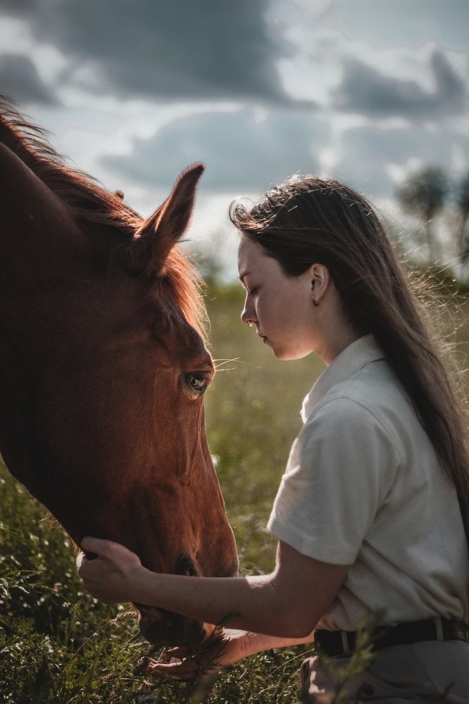 Душевная связь