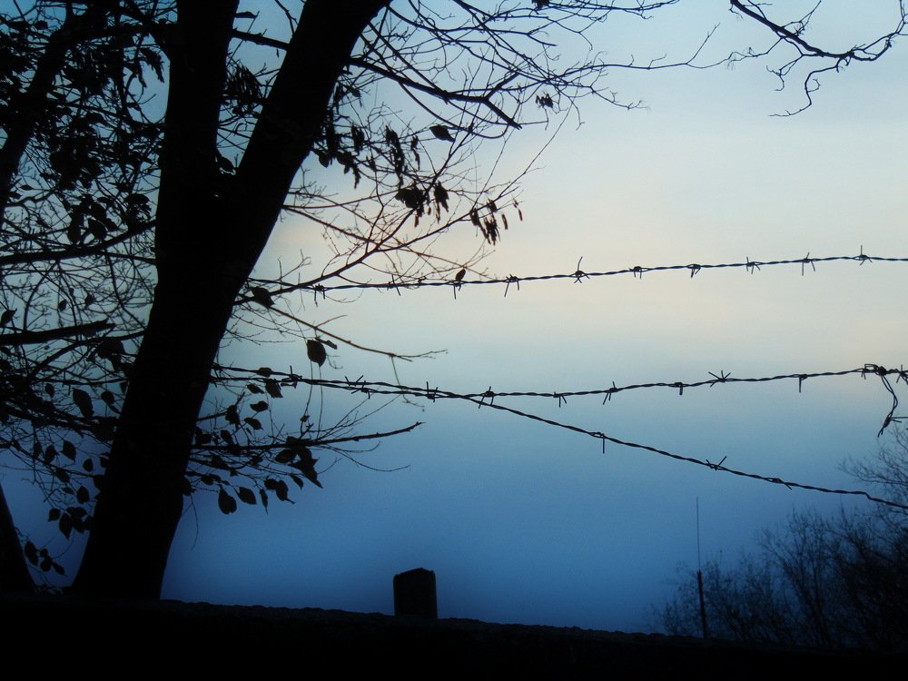 Photograph by  Виктория