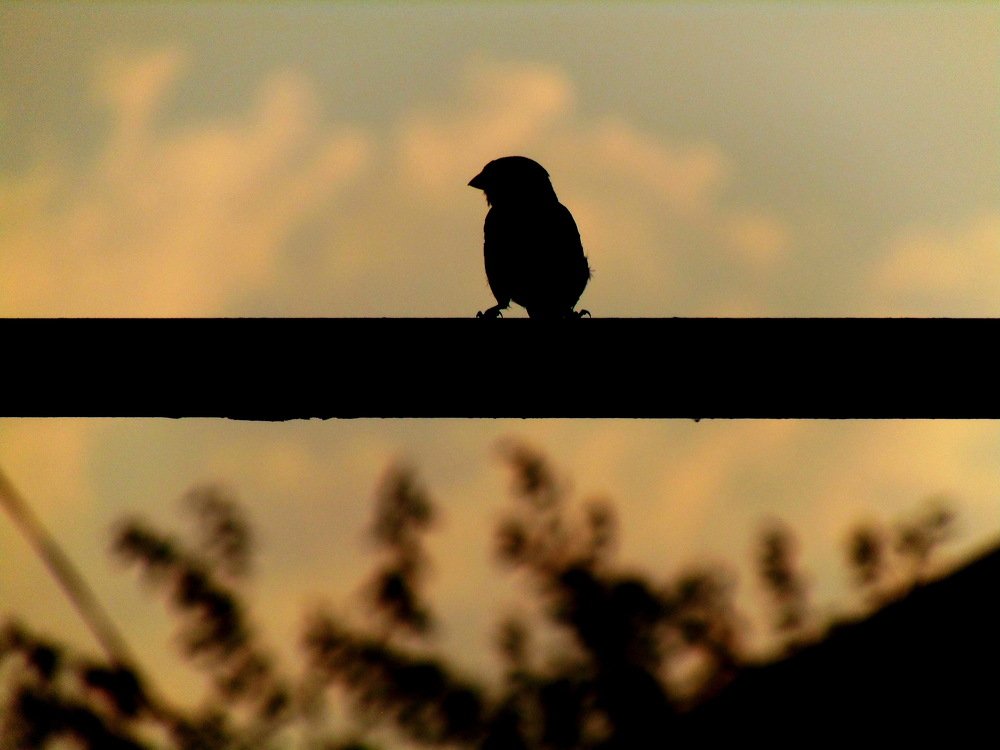 Photograph by  Виктория