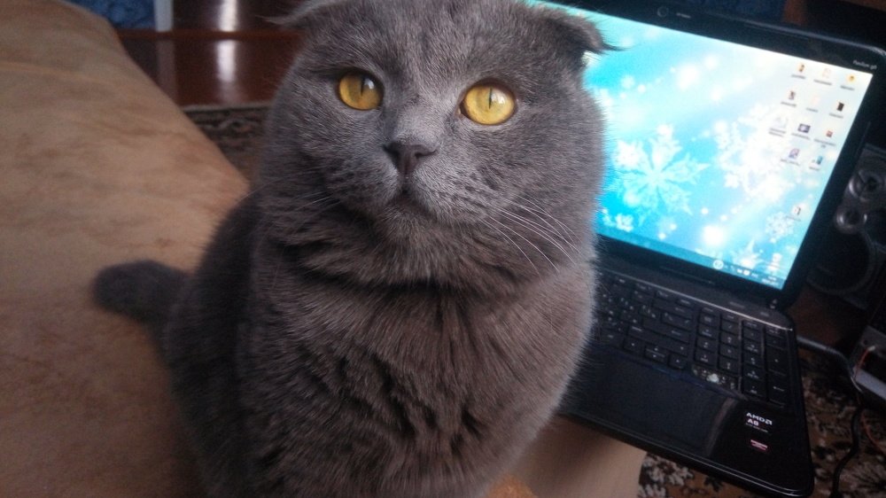 Photo #3220593