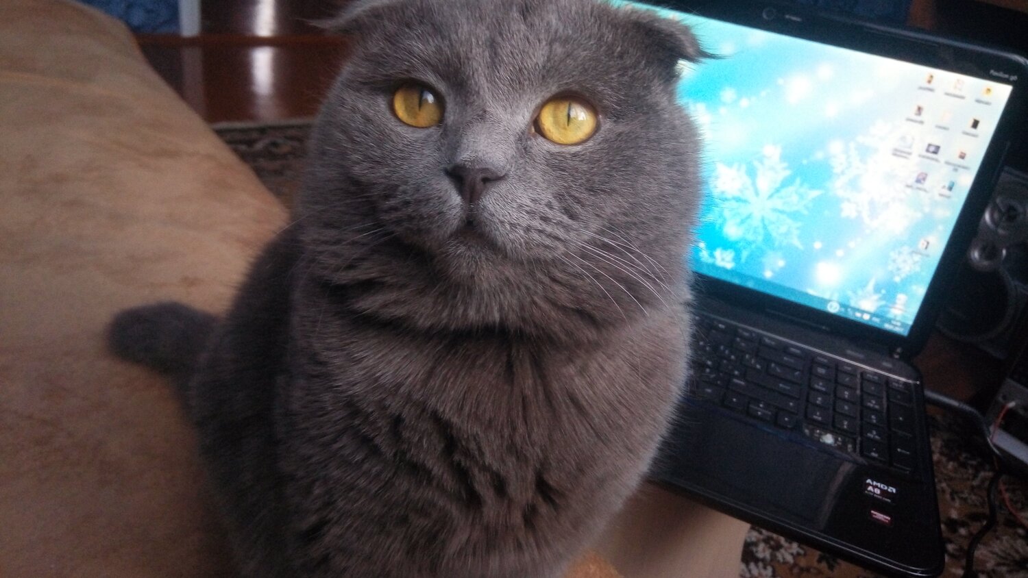 Photo #3220593