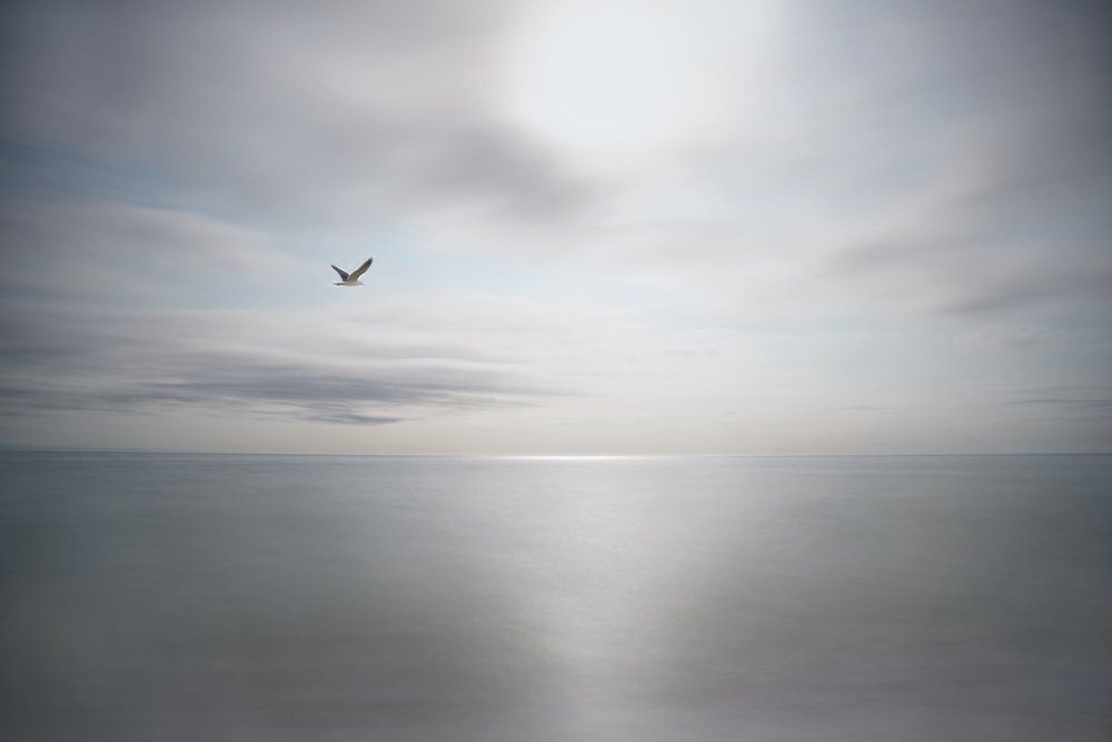 Полёт свободы