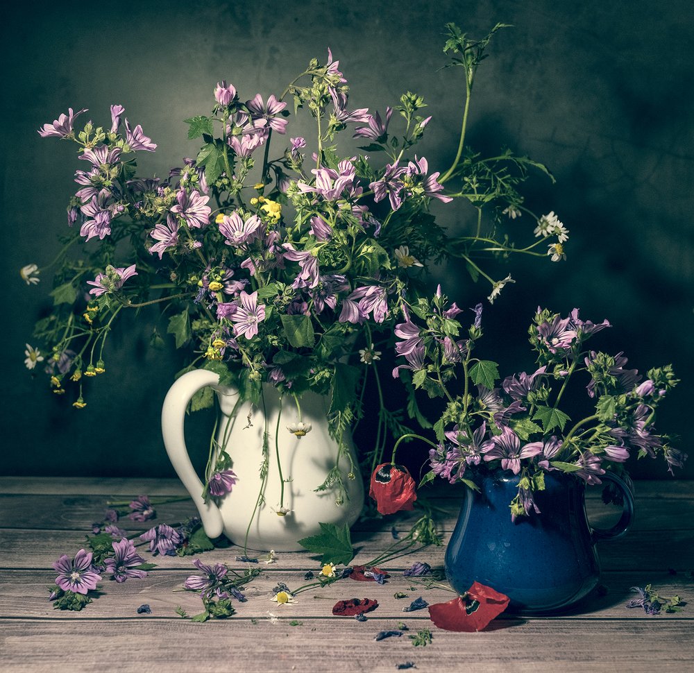 Полевые цветы