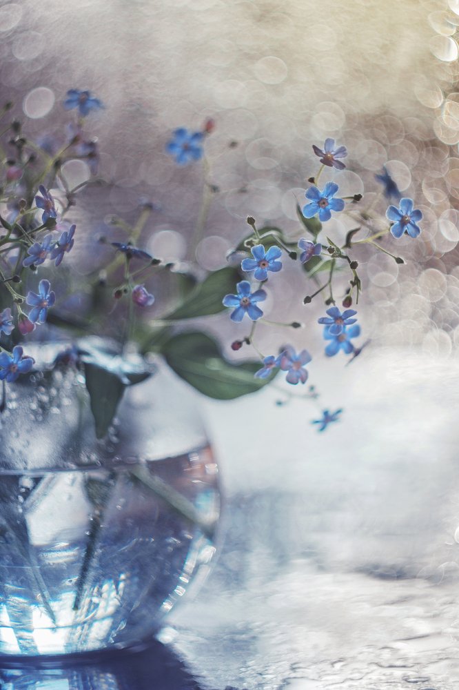 Photograph by Ольга Литвинова