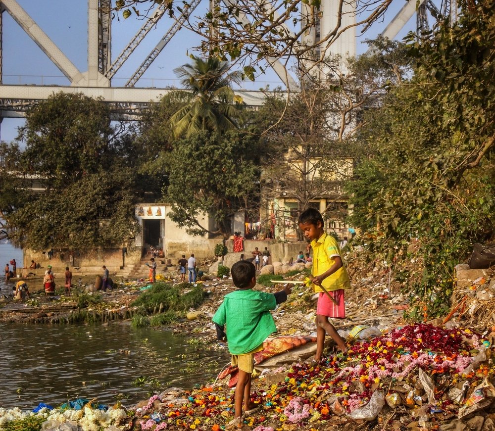 Playing on the flower bed