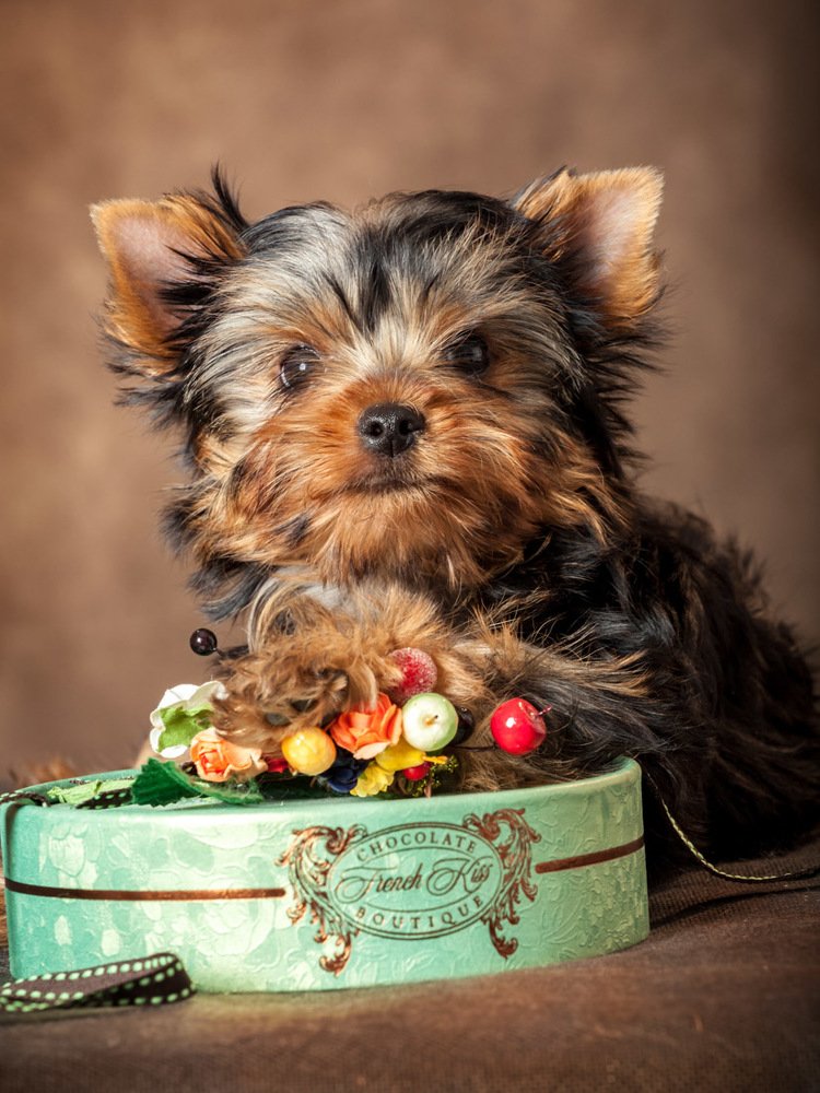 Photograph by Татьяна Макотра