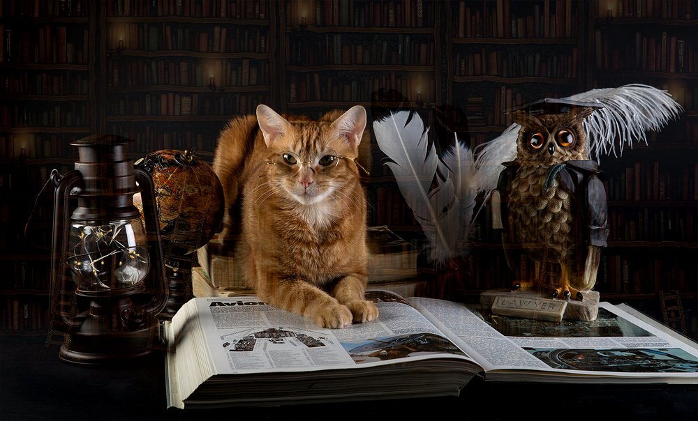 Рыжик Сказочник - Хатуль мадан