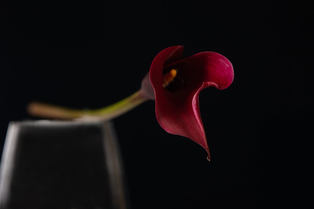 красота в мелочах