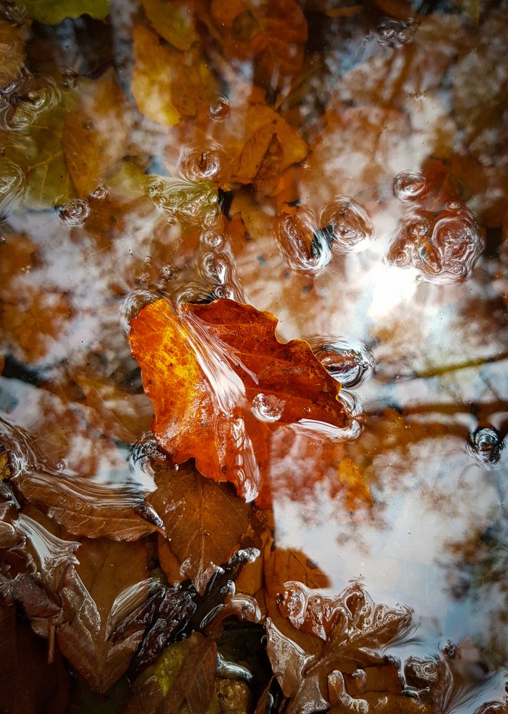 Photograph by Najmeh setayesh nazar