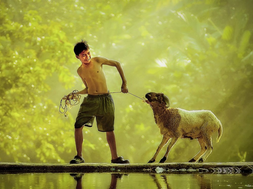 A boy with his pet