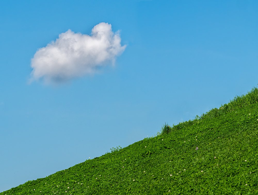 Photograph by Нина Богатырева